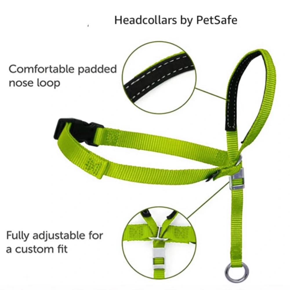 Gentle Leader Lime Green leader Head Collar Size Small